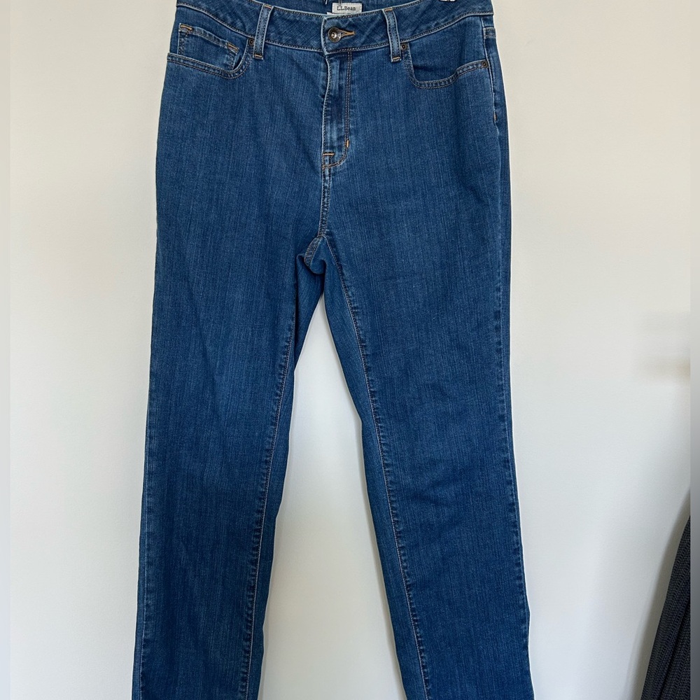 L.L. Bean Classic Fit Jeans Denim‎ Size 10